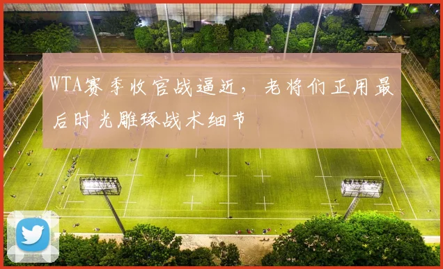 WTA赛季收官战逼近，老将们正用最后时光雕琢战术细节