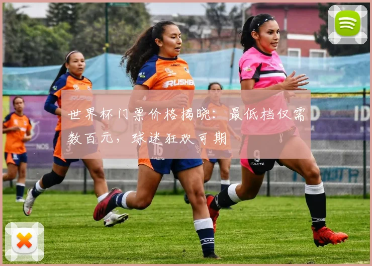 世界杯门票价格揭晓：最低档仅需数百元，球迷狂欢可期