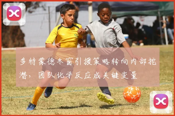 多特蒙德冬窗引援策略转向内部挖潜，团队化学反应成关键变量